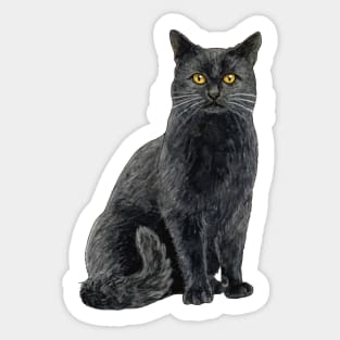 Black cat with golden eyes Sticker